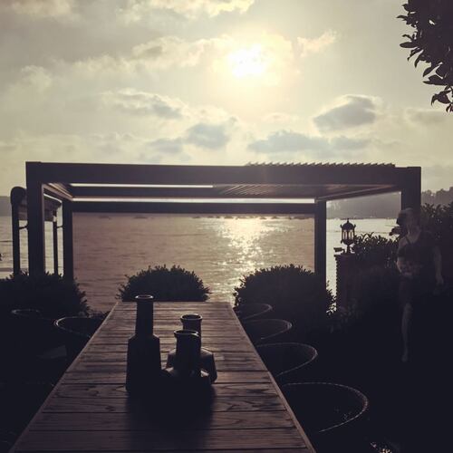 leafawning_1533355695_1838243263985743316_5571069908