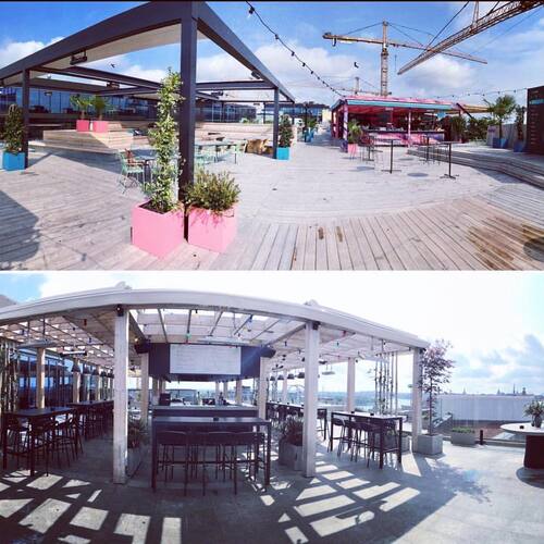 leafawning_1533980965_1843488407466953420_5571069908