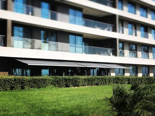 leafawning_1535372764_1855163663281725762_5571069908