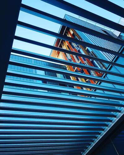 leafawning_1542024284_1910960660789793079_5571069908