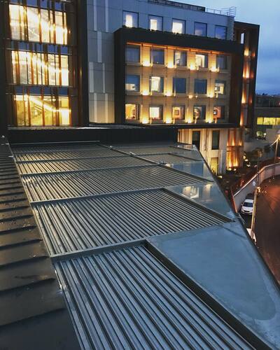 leafawning_1544597802_1932548896787886927_5571069908