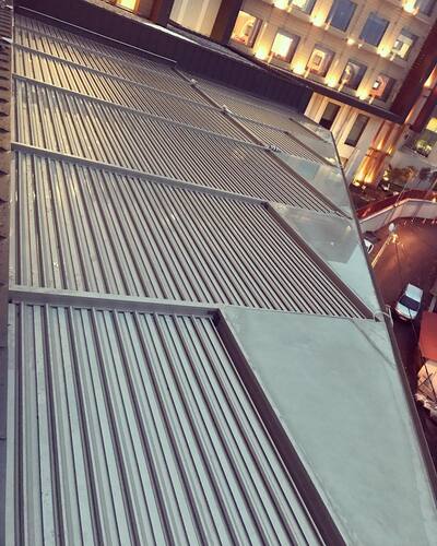 leafawning_1544597882_1932549565871807821_5571069908