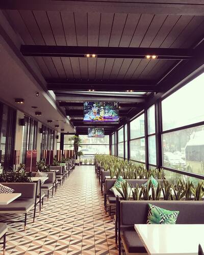 leafawning_1544608459_1932638290727225623_5571069908