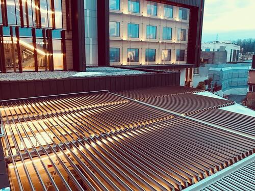 leafawning_1544889263_1934993850919302715_5571069908