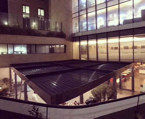 leafawning_1547390202_1955973242587757238_5571069908