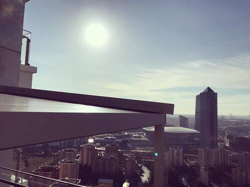 leafawning_1547643302_1958096396839927486_5571069908