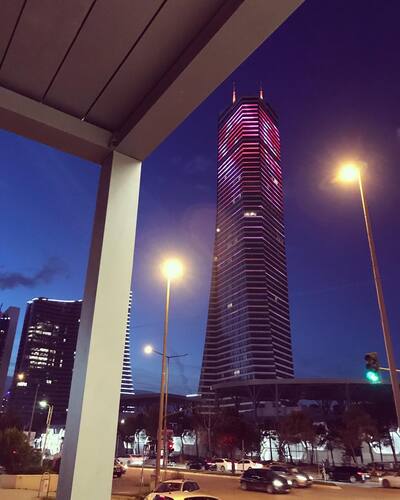 leafawning_1547838482_1959733689954638393_5571069908