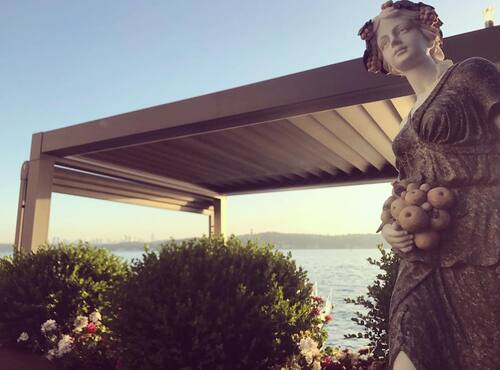 leafawning_1549736472_1975655184371346161_5571069908