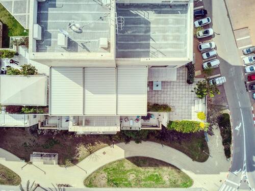 leafawning_1553645259_2008444467897317971_5571069908