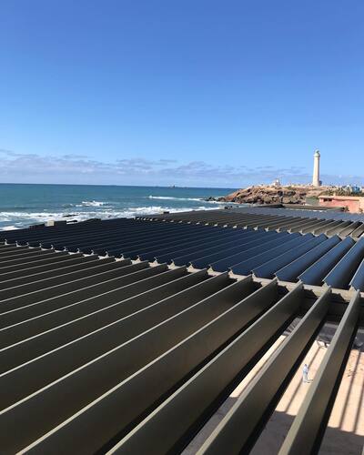 leafawning_1554926501_2019192300902904295_5571069908