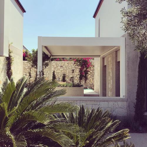 leafawning_1560614631_2066907797804427246_5571069908