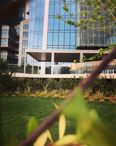 leafawning_1563040956_2087261281221237955_5571069908