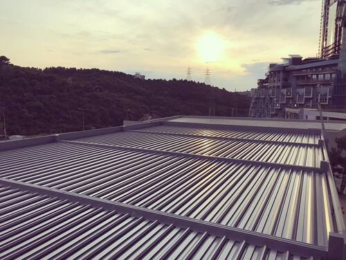 leafawning_1563041814_2087268484896497093_5571069908