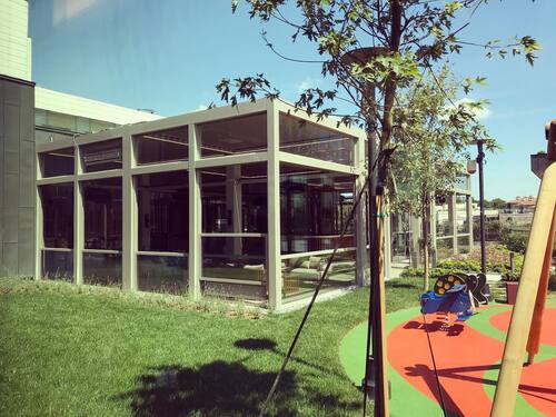 leafawning_1563265048_2089141100728920210_5571069908