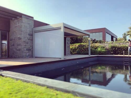 leafawning_1573355982_2173789990903708452_5571069908