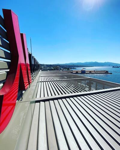 leafawning_1630672934_2654599438004552215_5571069908