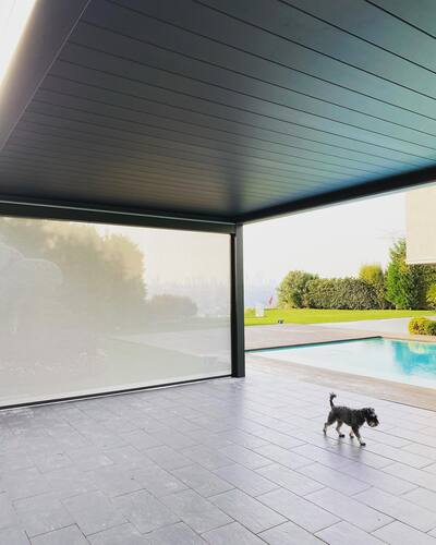 leafawning_1636212394_2701067793557041189_5571069908