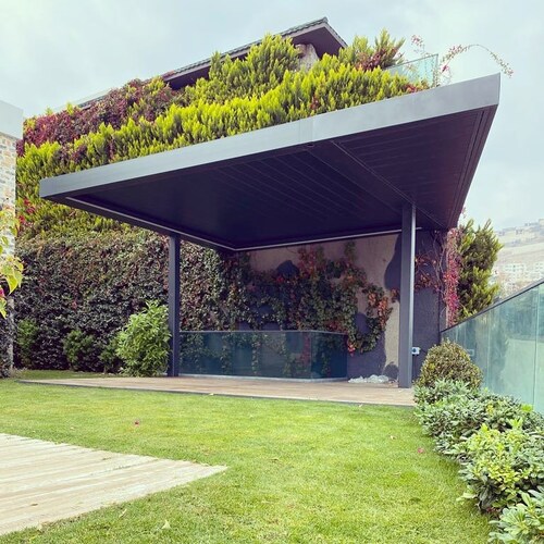 leafawning_1637347646_2710590982347688773_5571069908