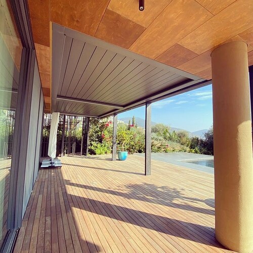 leafawning_1637348637_2710599293159653068_5571069908