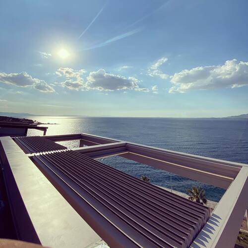 leafawning_1638255355_2718205390984923387_5571069908