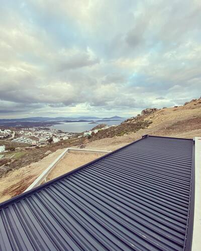 leafawning_1641492608_2745361442960555345_5571069908