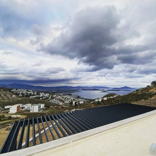 leafawning_1641492754_2745362667386958503_5571069908