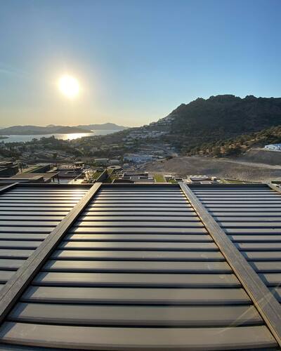 leafawning_1648683085_2805679533405425768_5571069908