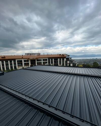 leafawning_1666126946_2952009242689987992_5571069908