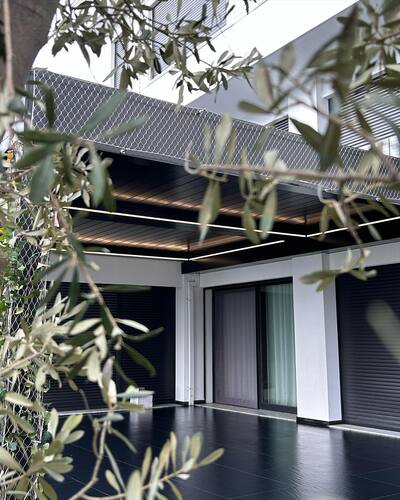 leafawning_1674560581_3022755704058835892_5571069908