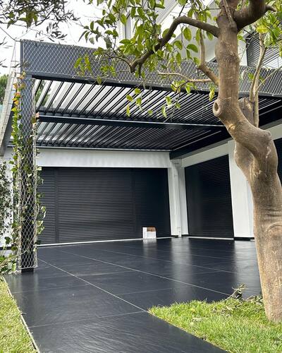 leafawning_1674589042_3022994447936143698_5571069908