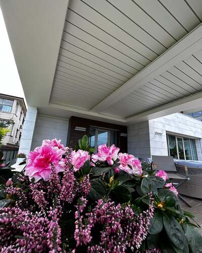 leafawning_1694613957_3190975615724817819_5571069908