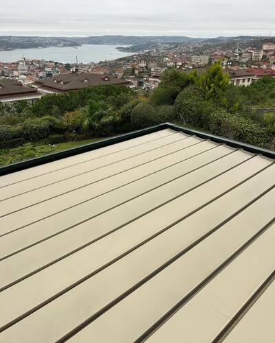 leafawning_1701865498_3251805947893808815_5571069908